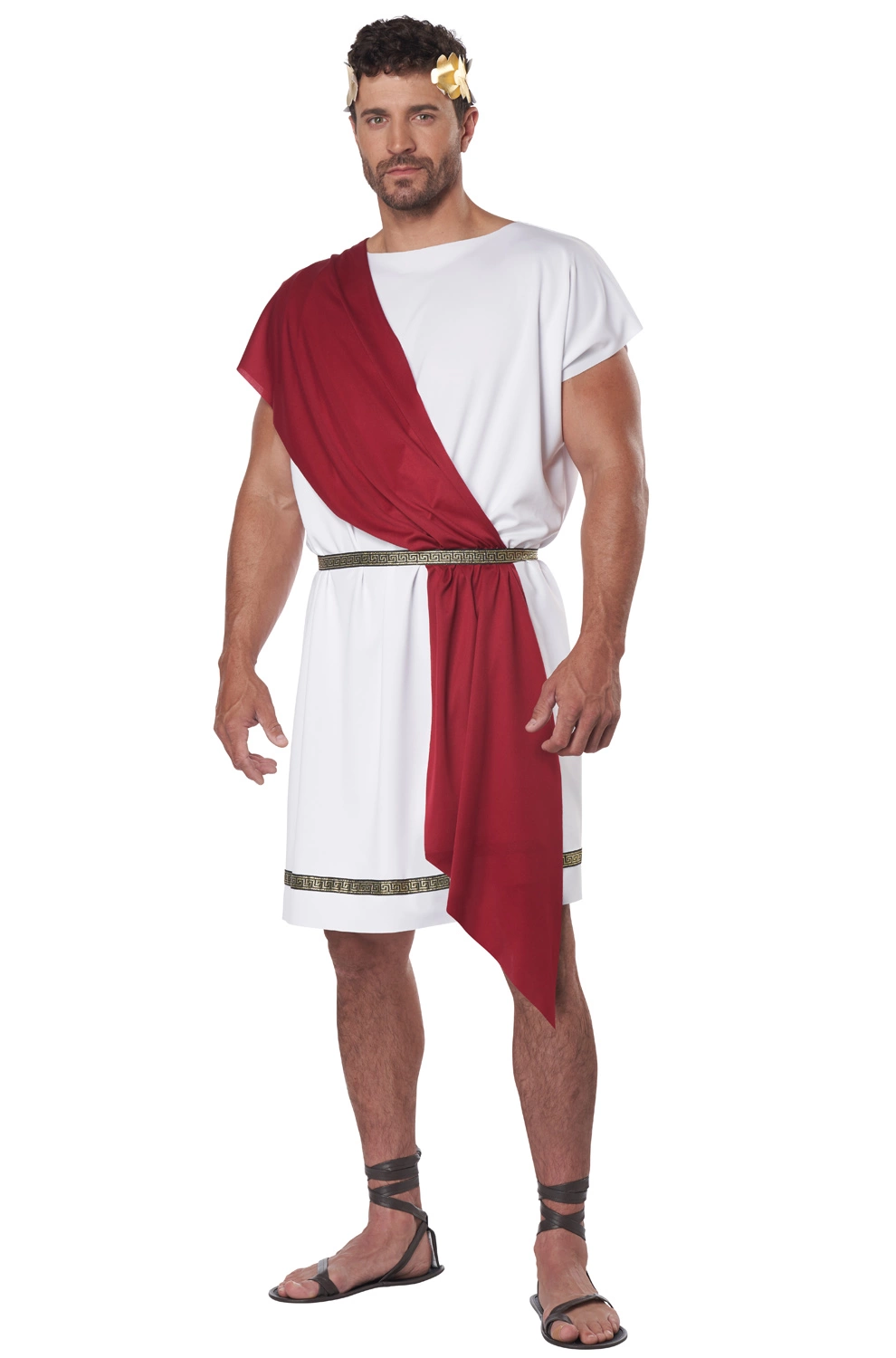 Party Toga Adult Costume 1 Party Toga Adult Costume