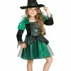 Emerald Witch Toddler Costume