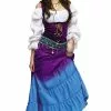 Gypsy Moon Adult Costume
