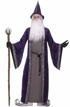 Wizard Adult Costume