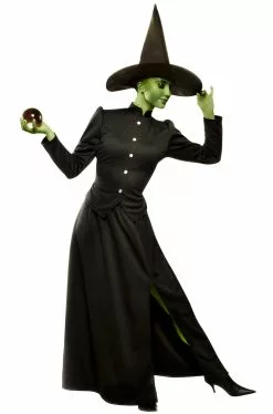 Wicked Witch Adult Costume