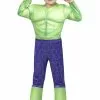 Hulk Toddler Costume