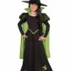 The Wizard Of Oz Wicked Witch Of The West Child Costume