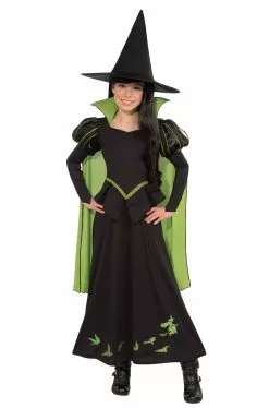 The Wizard Of Oz Wicked Witch Of The West Child Costume