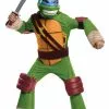 Teenage Mutant Ninja Turtles Deluxe Leonardo Child Costume