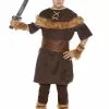 Victorious Viking Boy Child Costume