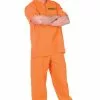 Public Offender Adult Costume